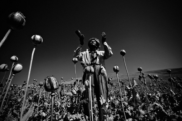 ALESSANDRO SCOTTI. Afghanistan, Badakhshan. Coltivatore di pioppo prega per la bontà del raccolto.