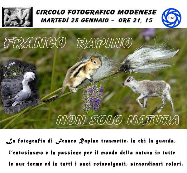 CF Modenese-Rapino-locandina