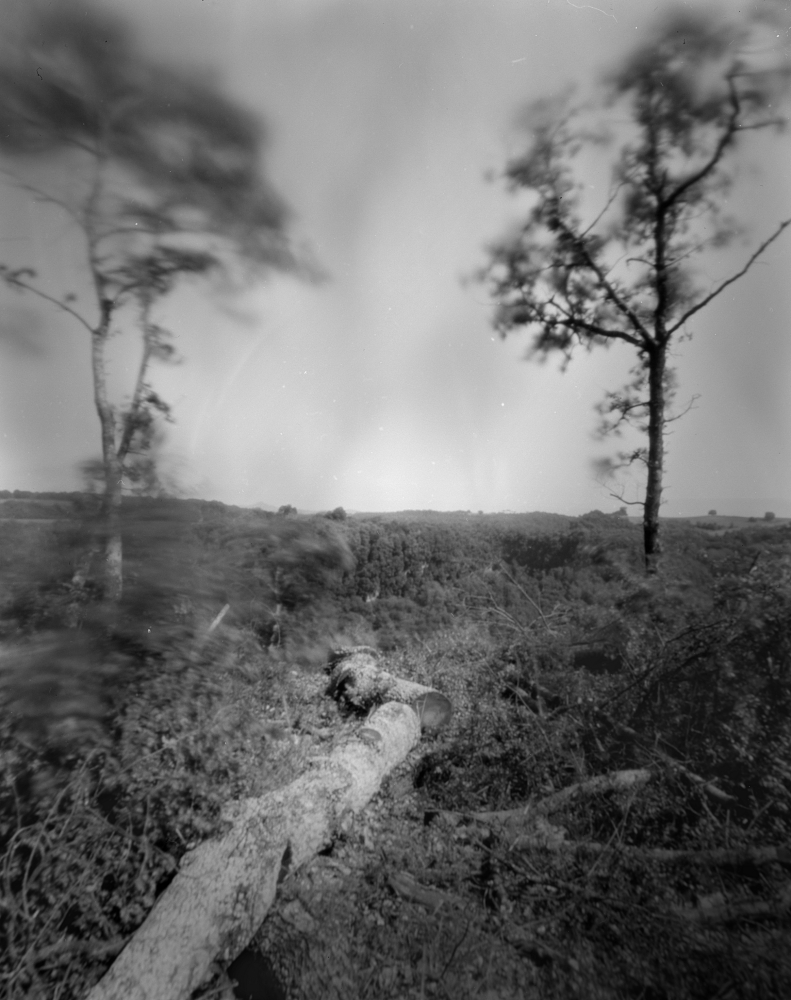 SCATOLA 503 ESTERNA BIANCA IP20 - Foto 8