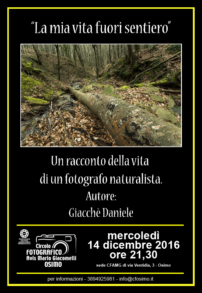 Stampa