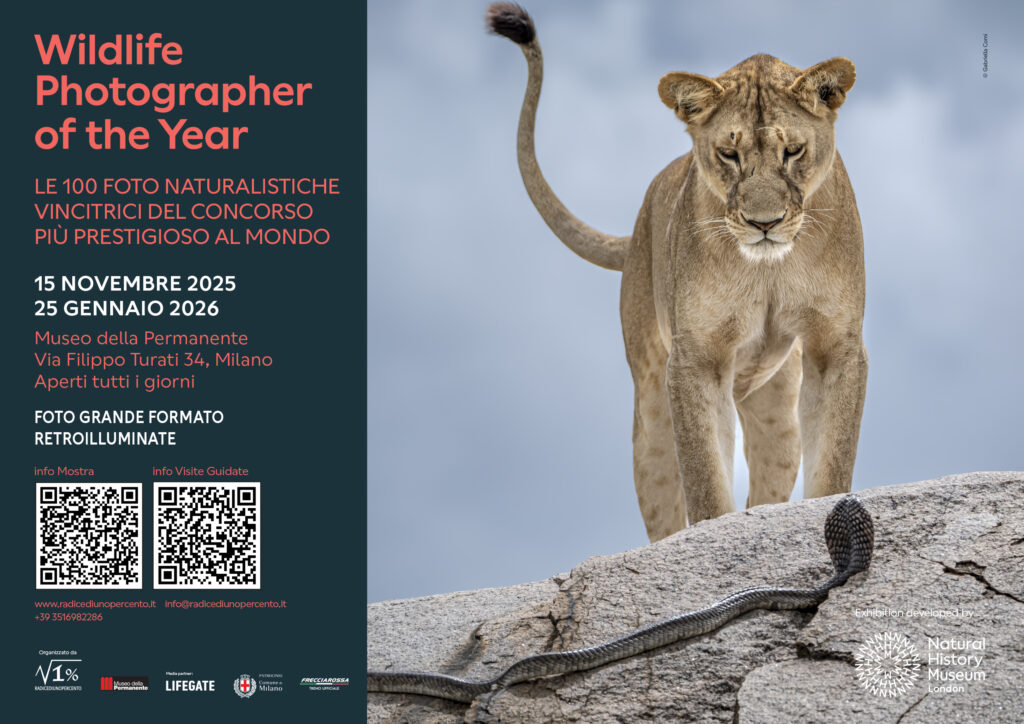 A MILANO la mostra del 61° WILDLIFE PHOTOGRAPHER OF THE YEAR ...