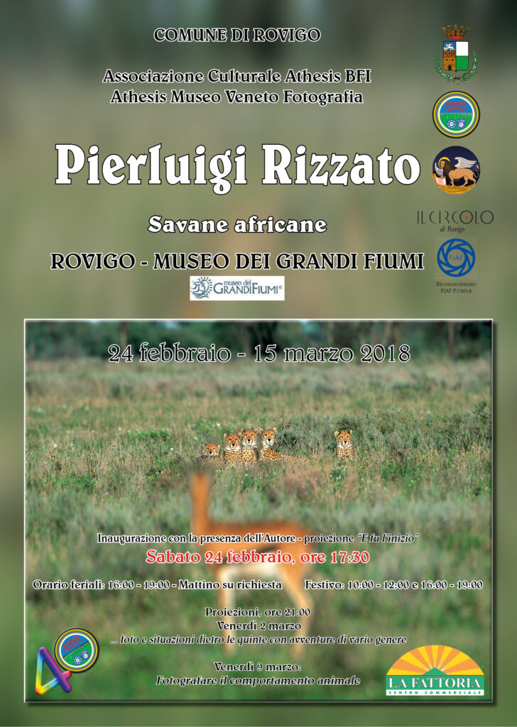 Savane africane Pierluigi Rizzato Rovigo 2018 LOCANDINA