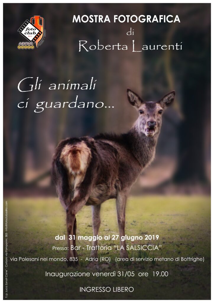 20190531 0627 Adria Roberta Laurenti Gli animali ci guardano locandina small