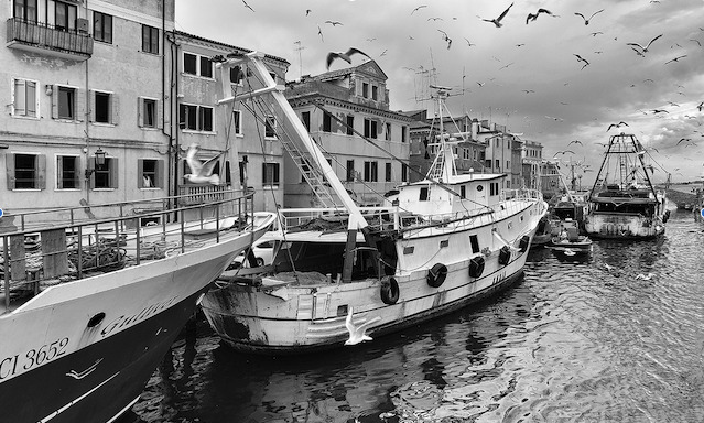 Canale di Chioggia con pescherecci e gabbiani in volo